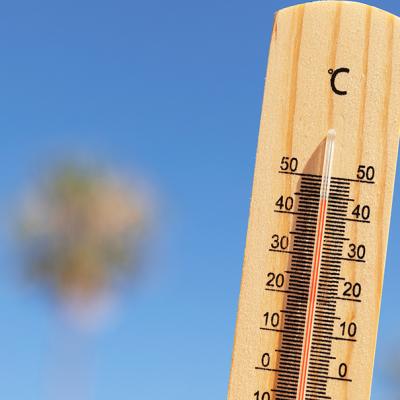 ALERTE ROUGE CANICULE